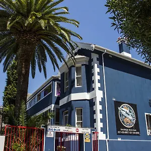 big-blue-backpackers-lodge.hotels-capetown.com/
